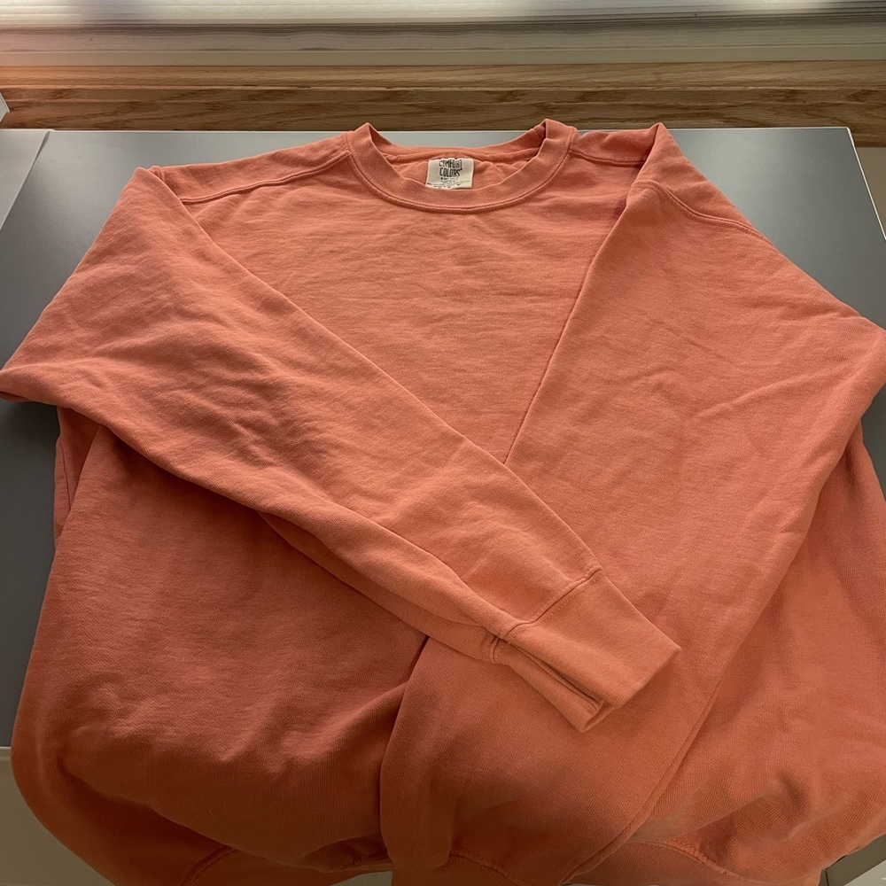 Plain Comfort Colors Crewneck in Terracotta